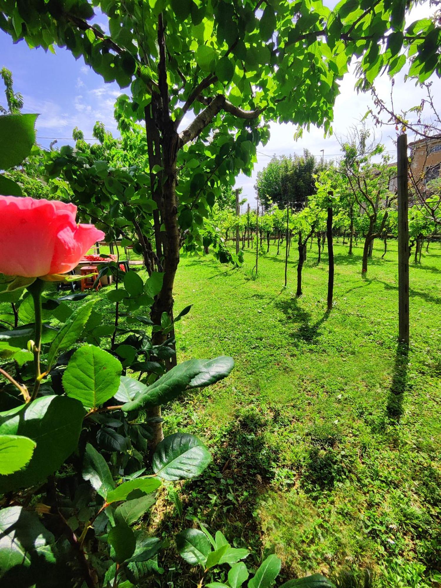 Garda Relais Antica Romelia Bed and Breakfast Montichiari Εξωτερικό φωτογραφία
